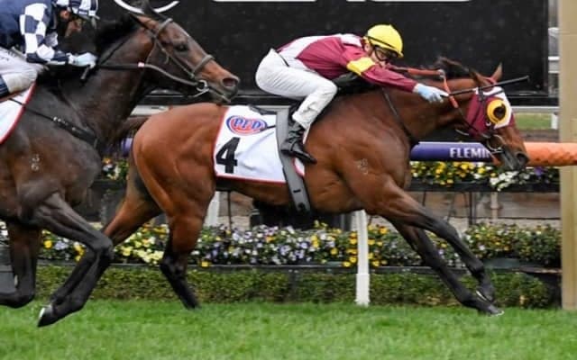 【香港マイル】日本馬22頭、豪ディープ産駒フィアースインパクト、地元のビューティージェネレーションらが登録