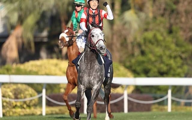 【香港C】登録馬69頭中31頭がG1馬　アーモンドアイ、ウインブライト、マジカル、アデイブなど