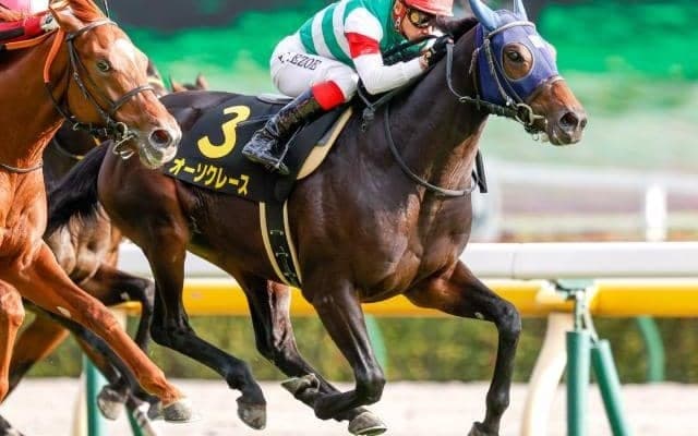 2連勝オーソクレースはホープフルS視野　マリアライトの仔