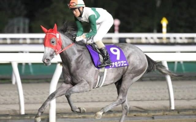 【門別競馬情報】今週は全国各地の重賞などで遠征馬の活躍に期待！メイン12R「キタサンミカヅキ賞」は波乱も期待できる好メンバー!/地方競馬情報