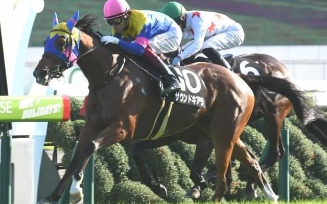 【スワンS予想オッズ】サウンドキアラが予想1番人気