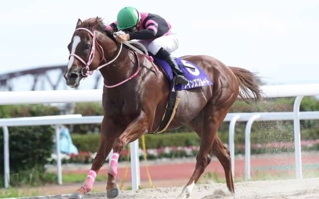 【ゴールド争覇予想】逃げるクインズプルートか、移籍初戦ダノンフェイスか/NARレース展望