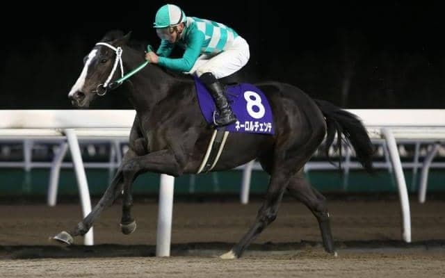 【門別競馬情報】いよいよ来週3日間が今季フィナーレ「第1回JBC2歳優駿JpnIII」「第63回道営記念H1」をお楽しみに！前節最終夜のメイン12Rは「三石産米トキノミノル特別」/地方競馬情報