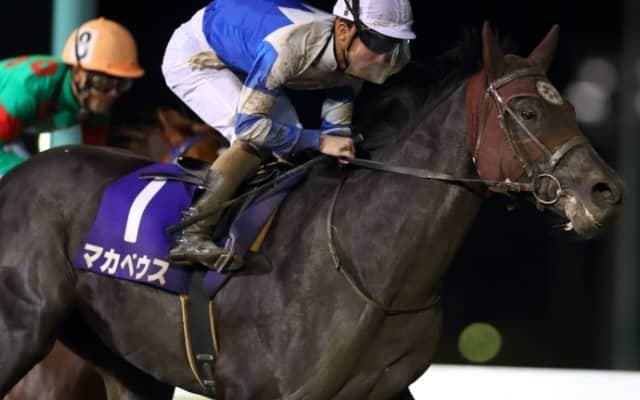 【平和賞】出世レース制したマカベウスに本田正重騎手「クラシック向きだと思います」