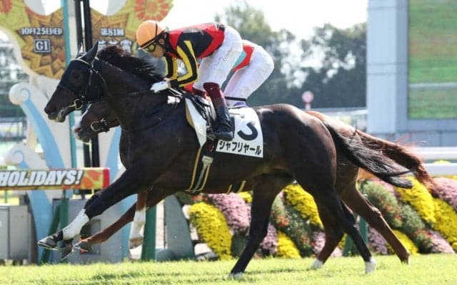 【新馬/京都5R】良血シャフリヤールが人気に応える！全兄はアルアイン