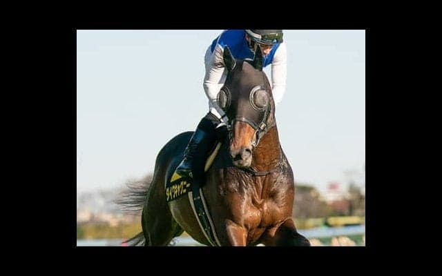天皇賞・秋の穴は今が充実の６歳馬。アーモンドアイ絡みでも好配当になる