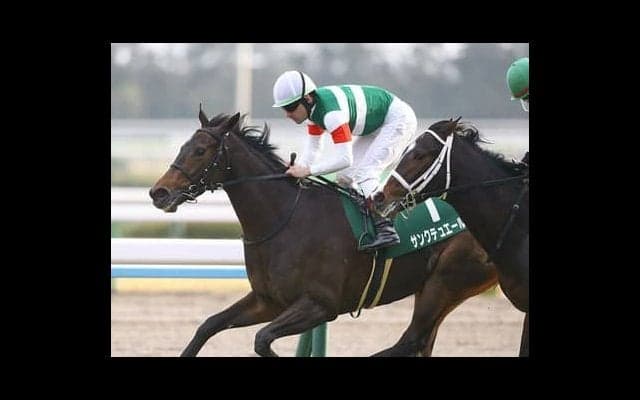 厩舎スタッフが「ものすごくいい」と絶賛する良血馬リエヴェメンテ