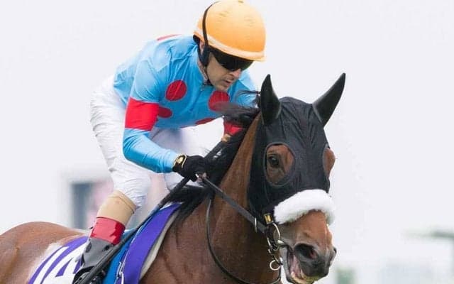 アーモンドアイ、史上初の“芝8冠”　歴史作った激走に感激の声「女王の意地見た」