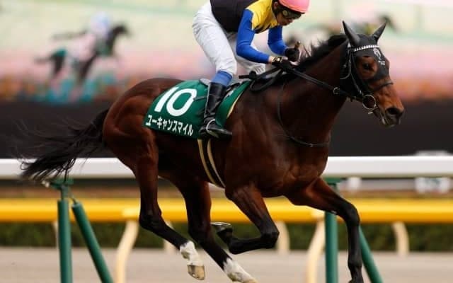 【アルゼンチン共和国杯見どころ】ユーキャンスマイルが人気の中心