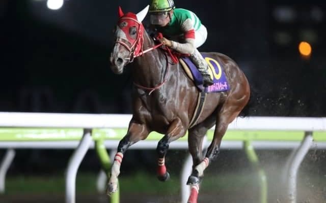 火曜日はJBC、週末のJRAは4重賞と注目レースが目白押し/今週の競馬界の見どころ