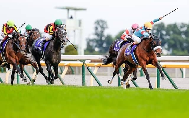 【天皇賞秋・豆知識】単勝1倍台のJRA平地GI連覇は35年ぶり、牝馬の混合GI年間6勝は史上最多