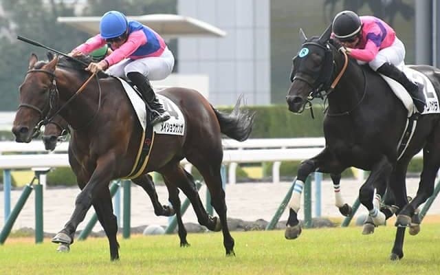 【JRA】京都7Rで1位入線馬が2着降着、岩田望来騎手は9日間の騎乗停止