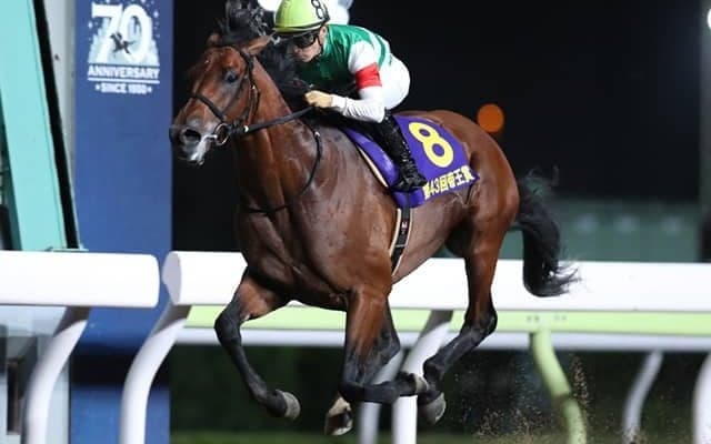 【大井・JBC】 幾多の名馬が歴史を紡いできたダートの祭典！ 20周年の今年は史上初の4レースで開催！/地方競馬レース展望