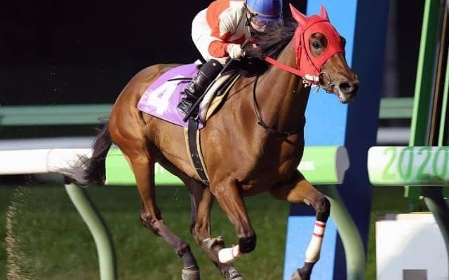 【盛岡・知床賞結果】ゴールデンヒーラーが2番手から抜け出し快勝