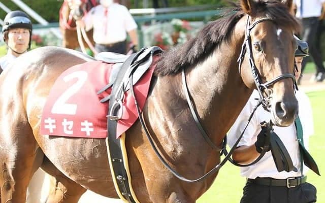 【天皇賞・秋】ベストターンドアウト賞はキセキが受賞