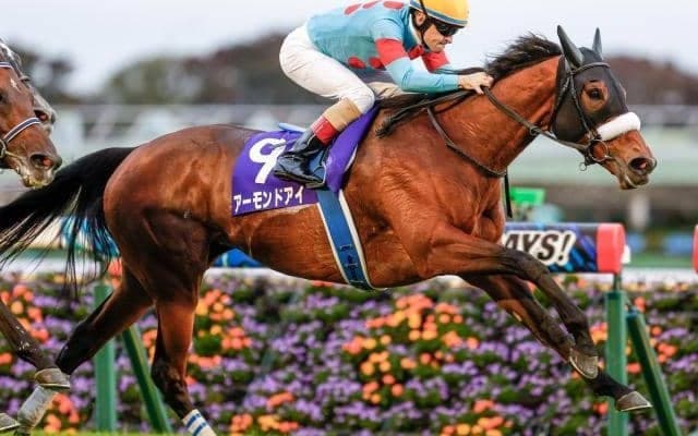 【天皇賞・秋結果】アーモンドアイが連覇達成！ 史上初の芝GI・8勝目！