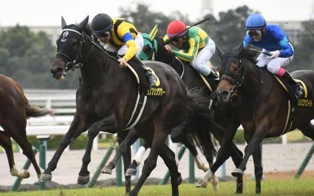 【カシオペアS結果】ランブリングアレーが抜け出し快勝