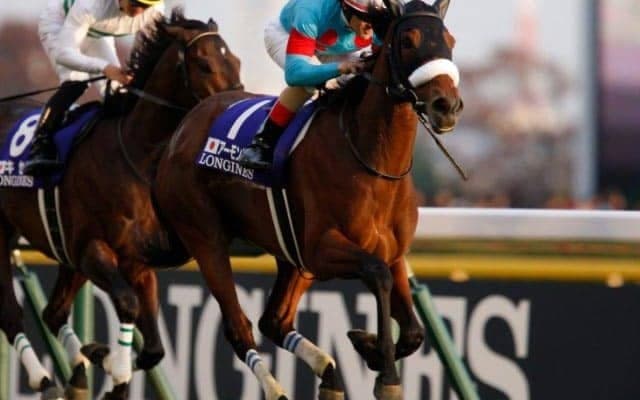 【天皇賞・秋・馬体重】アーモンドアイは490kg(+2)、フィエールマンは478kg(-12)