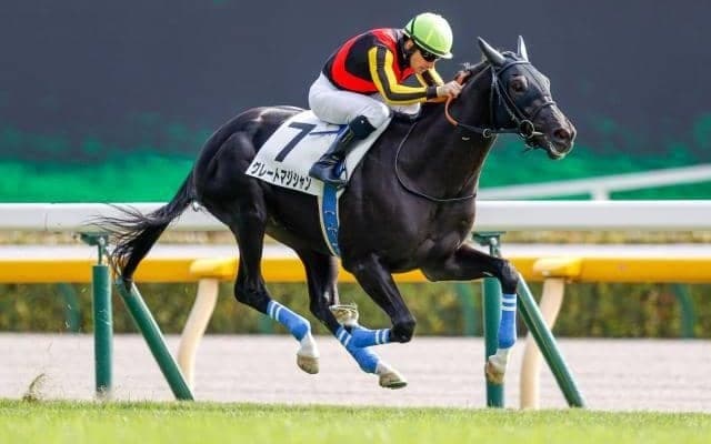【東京4R新馬戦結果】グレートマジシャンが人気2頭の競り合いを制す