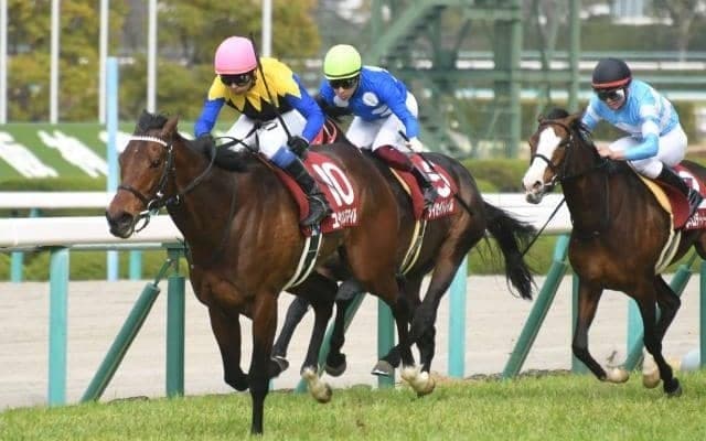 【アルゼンチン共和国杯ハンデ確定】ユーキャンスマイルは58.0kg、オーソリティは54.0kg