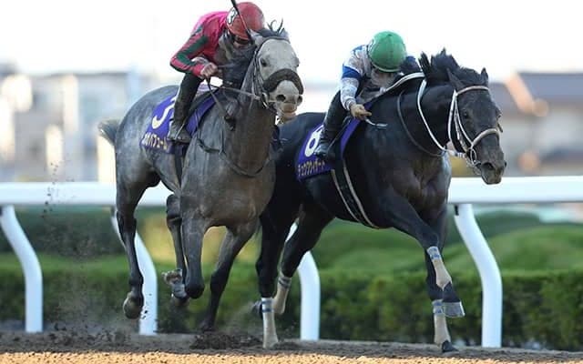 【大井・JBCクラシック予想】 3強ですんなりとは決まらない!? 枠順と展開から割り出した“一角を崩す可能性のある”1頭とは!?/地方競馬レース展望