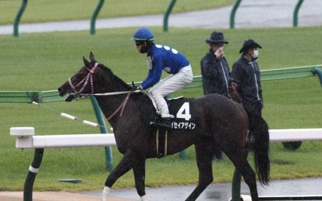 【JBC2歳優駿】枠順と見所 タイセイアゲインは6枠9番