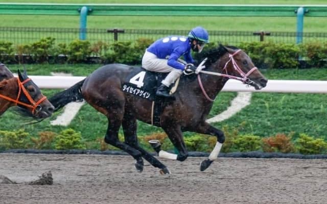 【門別競馬情報】かつて圧倒Vの王者と同じ臨戦パターン!JRA2戦2勝馬タイセイアゲインの走りが特に注目。迎え撃つ地方9頭の走りも大いに楽しみ「第1回JBC2歳優駿JpnIII」/地方競馬情報