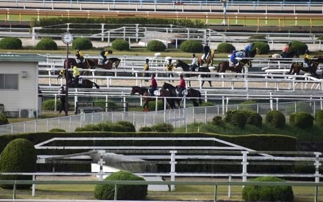 グルーヴィットなど、先週の入厩情報/栗東トレセンニュース