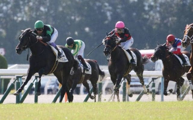 【新馬/京都5R】武豊ディープモンスターがデビューV！リスグラシュー全弟は4着敗退