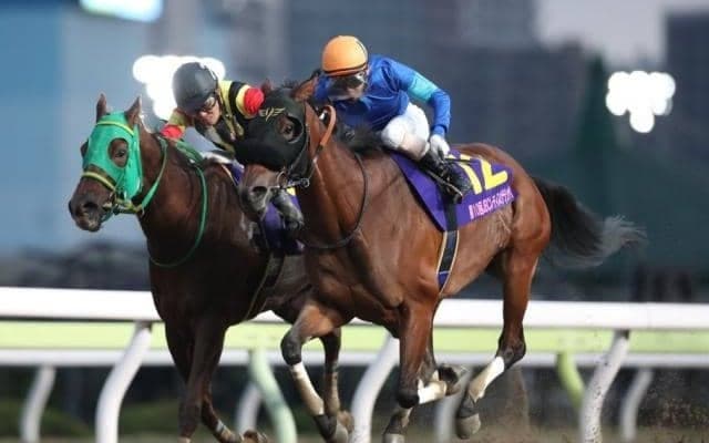 【大井・JBCレディスクラシック結果】ファッショニスタが叩き合いを制しJpnI初制覇！