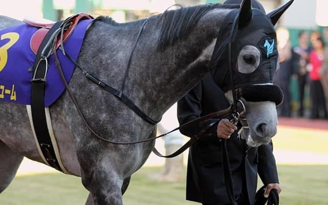 【JBCクラシック・馬体重】クリソベリルは542kg(+2)、オメガパフュームは453kg(+1)