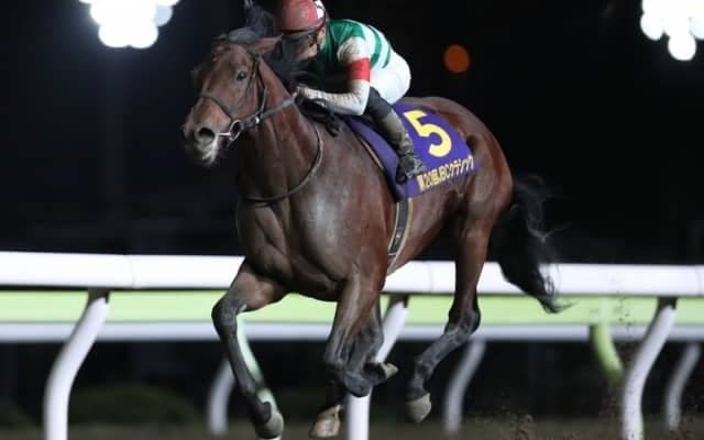 【大井・JBCクラシック結果】クリソベリルが断然人気に応えて完勝！ GI級競走4勝目