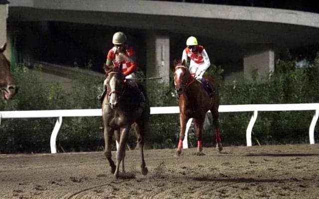 【JBCスプリント】戸崎「揉まれる競馬が…」1番人気ジャスティンは伸びきれず