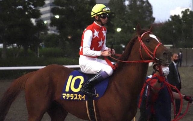 【JBCスプリント】武豊「状態は良かった」マテラスカイは粘るも2着まで