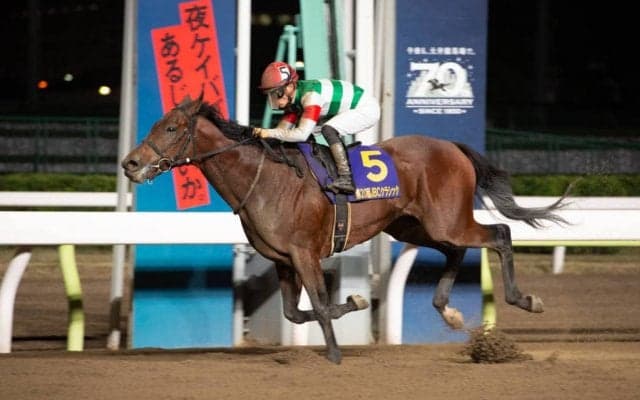 【JBCクラシック】クリソベリルが圧勝！力の違いを見せる