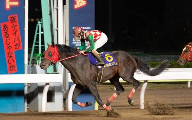 【JBCスプリント】サブノジュニアが大金星！中央勢撃破