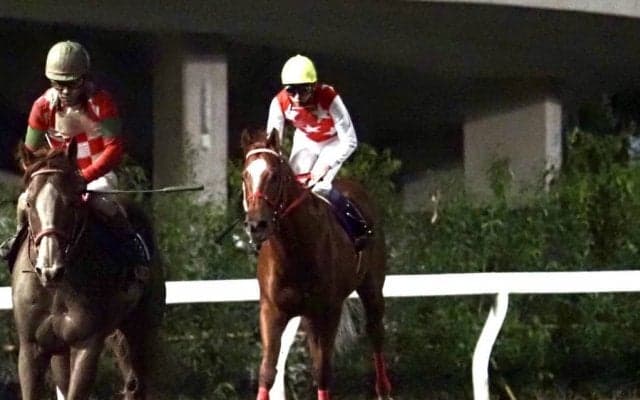 【JBCスプリント】武豊「向こう正面でプレッシャーが…」レース後ジョッキーコメント