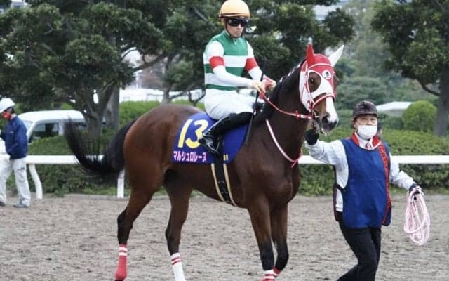 【JBCレディスクラシック】川田「手応えは良かったのですが…」レース後ジョッキーコメント