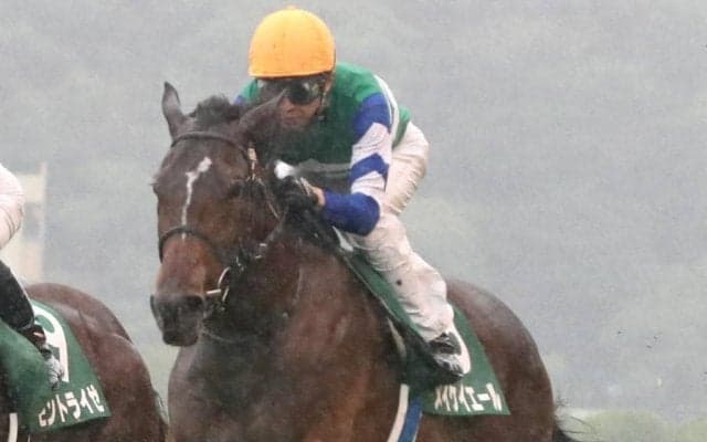 【武豊日記】このまま順調に、と願っています