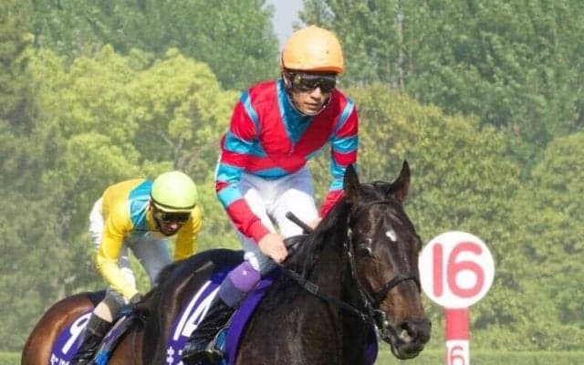 武豊騎手 今週の騎乗馬