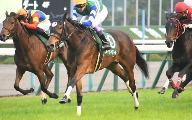 【ファンタジーS結果】武豊メイケイエールがレコードでV！ 無傷3連勝！