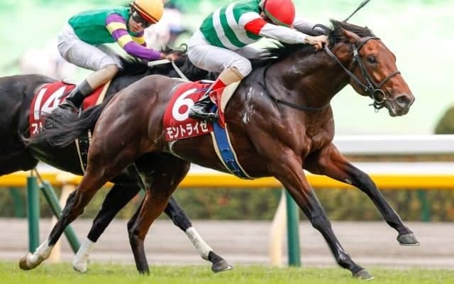 【京王杯2歳S結果】モントライゼが押し切り重賞初制覇