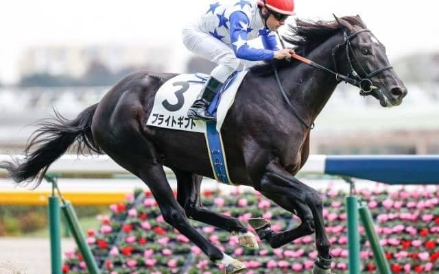 【東京7R新馬戦結果】ブライトギフトが2番手から抜け出してV