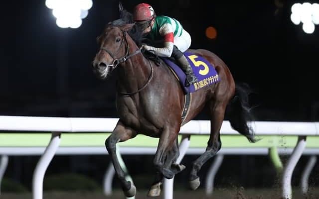 【JBCクラシック回顧】何度やっても変わらないと思える上位3頭の決着(斎藤修)