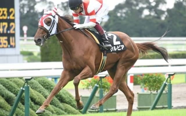 【ファンタジーS予想】追って味があるサルビアに期待