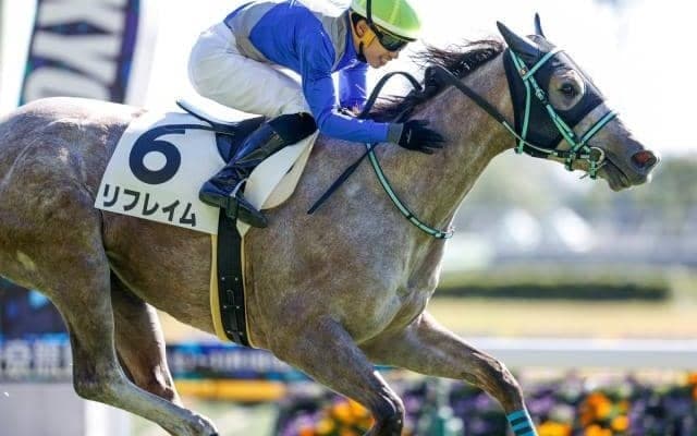 【本日の注目ポイント】東京で京王杯2歳S、阪神ではファンタジーS