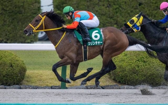 【みやこS】クリンチャーがダート初勝利
