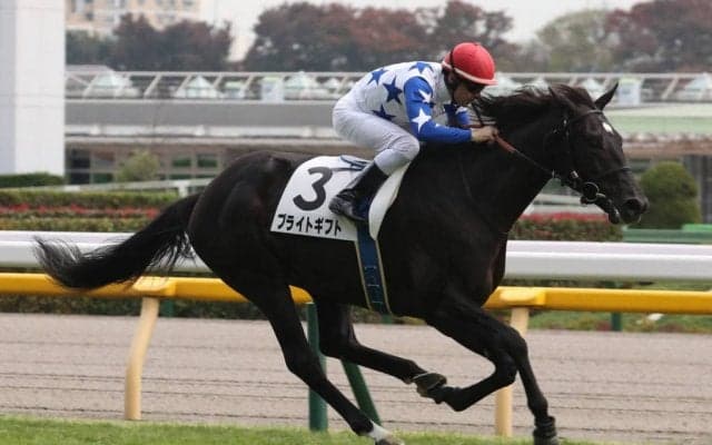 【新馬/東京7R】エピファネイア産駒 ブライトギフトがデビューV