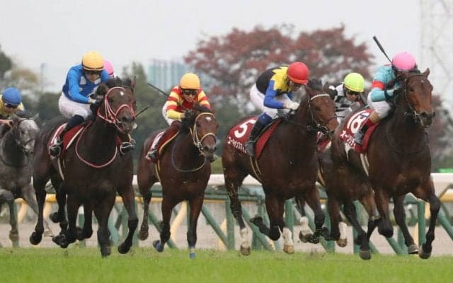 【アルゼンチン共和国杯】オーソリティが骨折休養明けをV