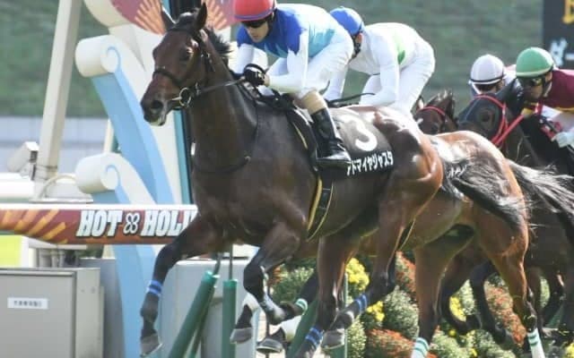 【福島記念】上位人気となりそうな馬も抽選や除外の対象　フルゲート16頭に26頭/出走馬決定順